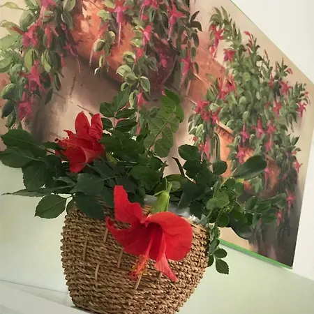 Sabbie D'oro Hébergement de vacances *